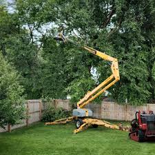 Best Tree Mulching  in Lake Lorelei, OH