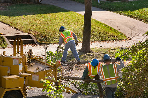 Best Tree Health Inspection  in Lake Lorelei, OH